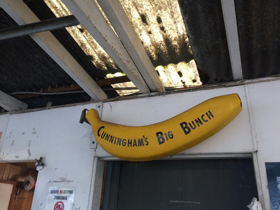 Cunningham’s Big Bunch景点图片