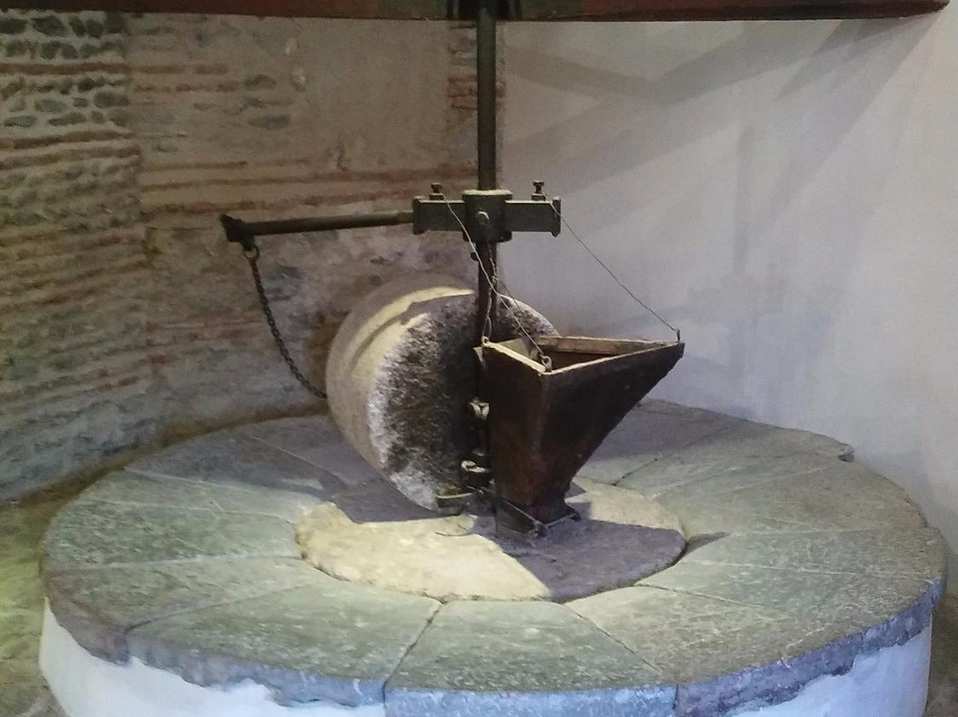 Almazara La Erilla, OleoTurismo en Granada景点图片