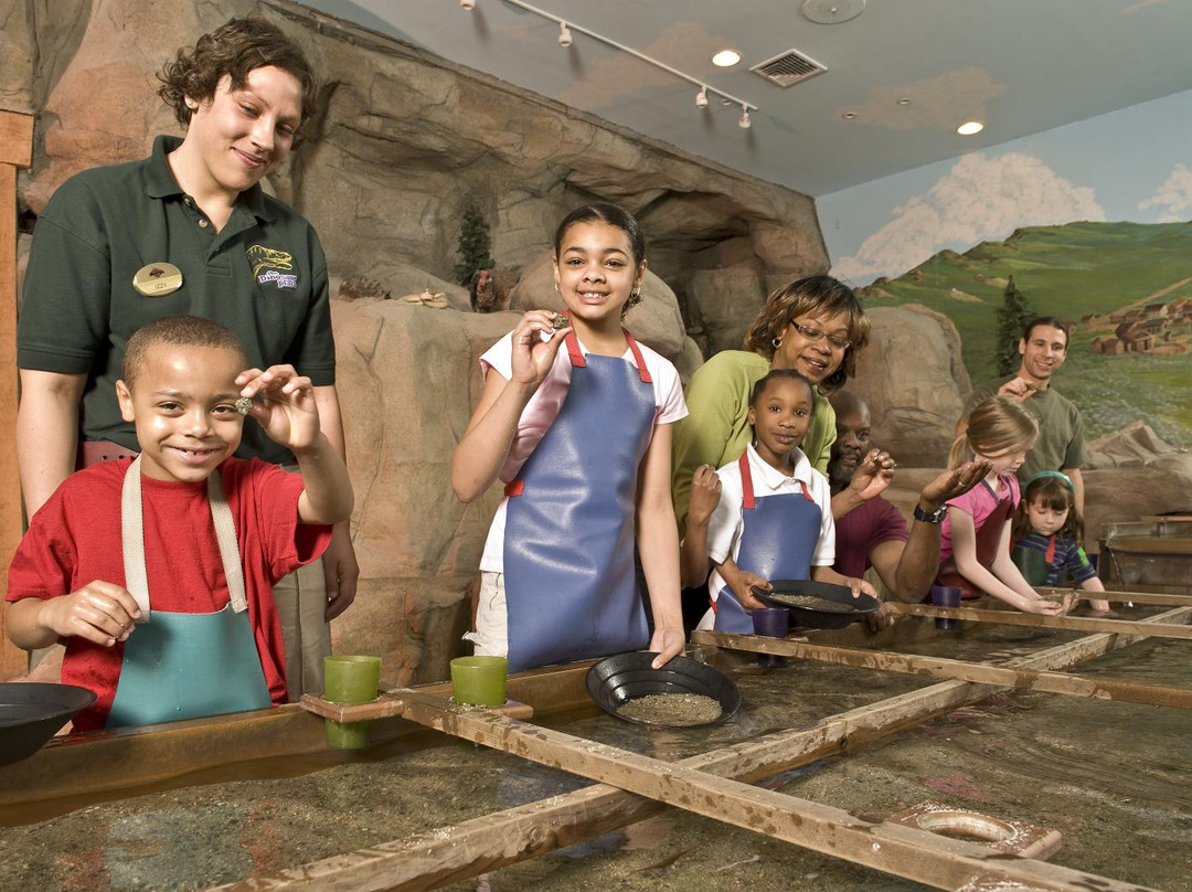 Discovery Depot at Nature's Art Village景点图片