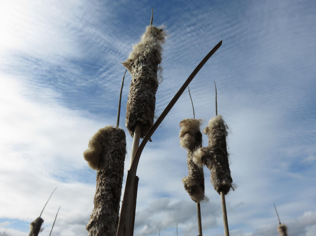 Talking Water Gardens-奥尔巴尼必去景点