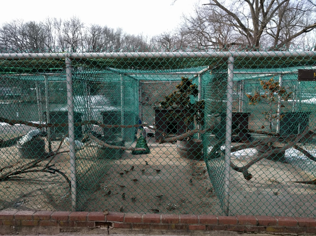 Johnson Park-皮斯卡特维必去景点