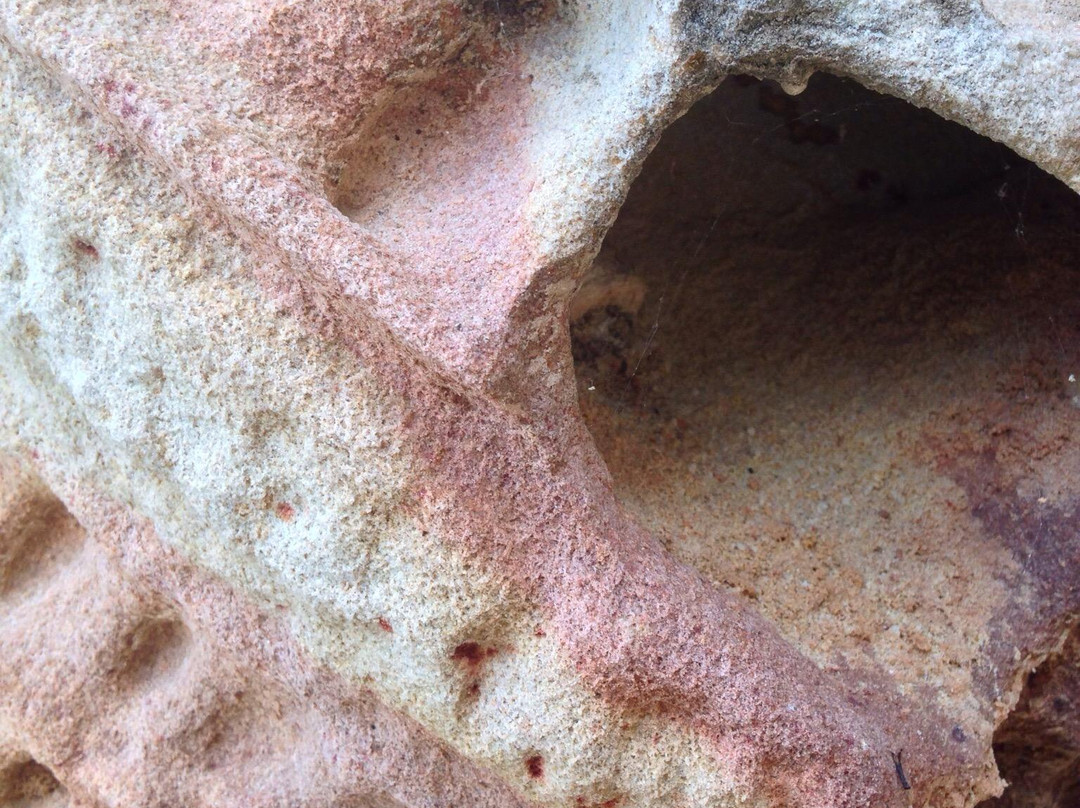 Lime Bay State Reserve-亚瑟港必去景点