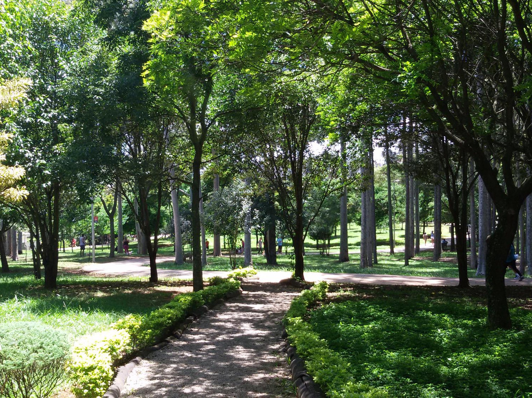 Parque Ecologico Lydia Natalizio Diogo-圣保罗必去景点