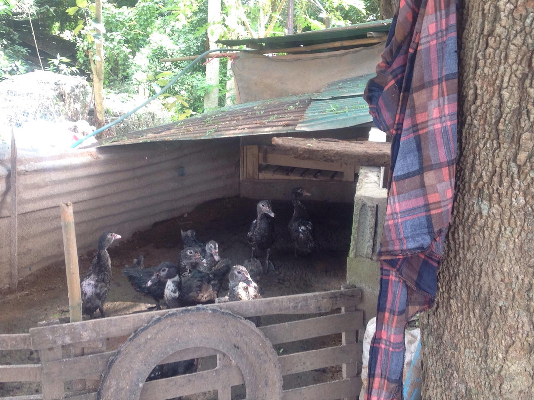 Ban Chan Pottery Village-琅勃拉邦必去景点