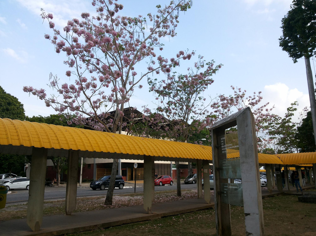 Universidade Federal do Pará-贝伦必去景点