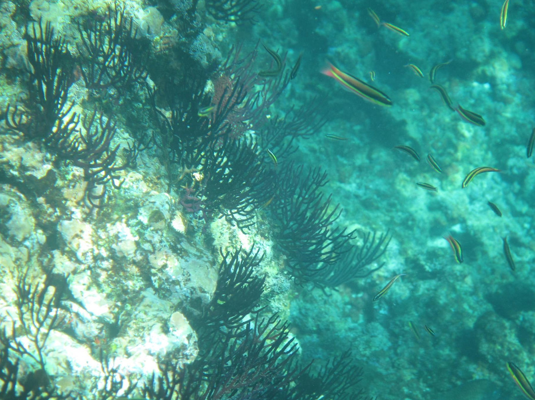 Punta Mita Charters-蓬塔米塔必去景点