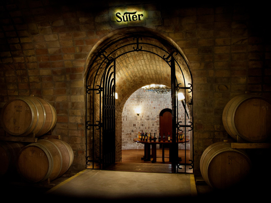 Bodega Suter-圣拉斐尔必去景点