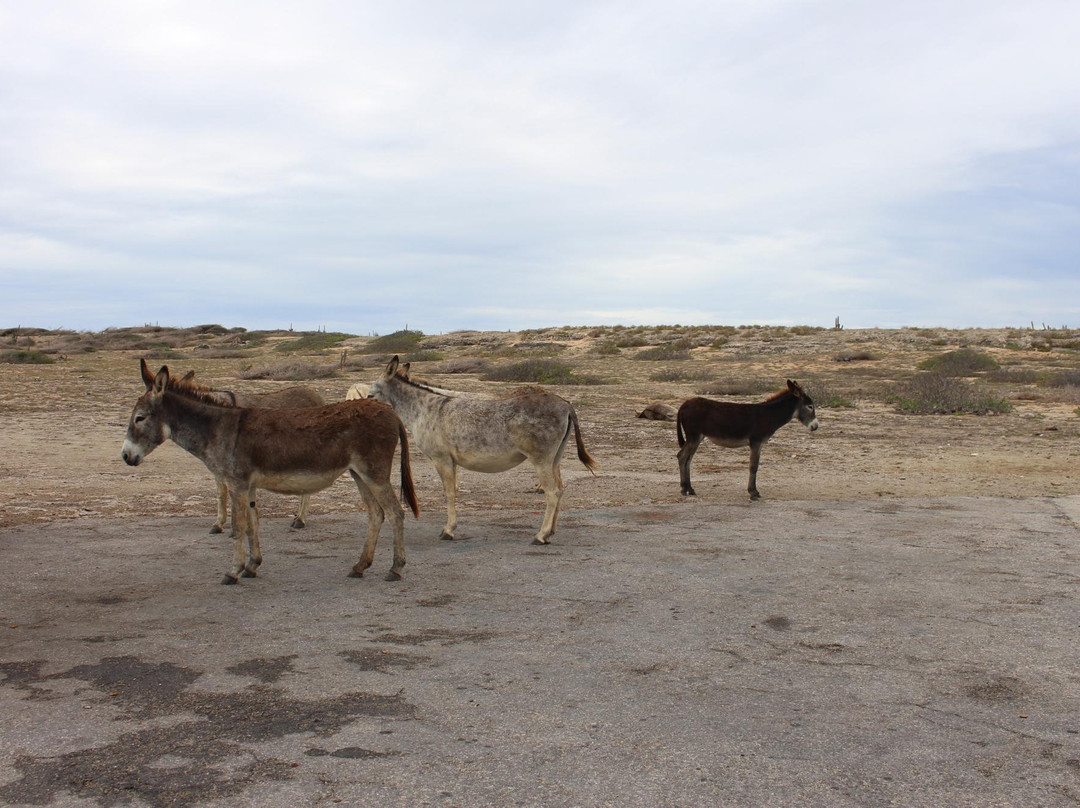 Grapefield Climbing Area-San Nicolas必去景点