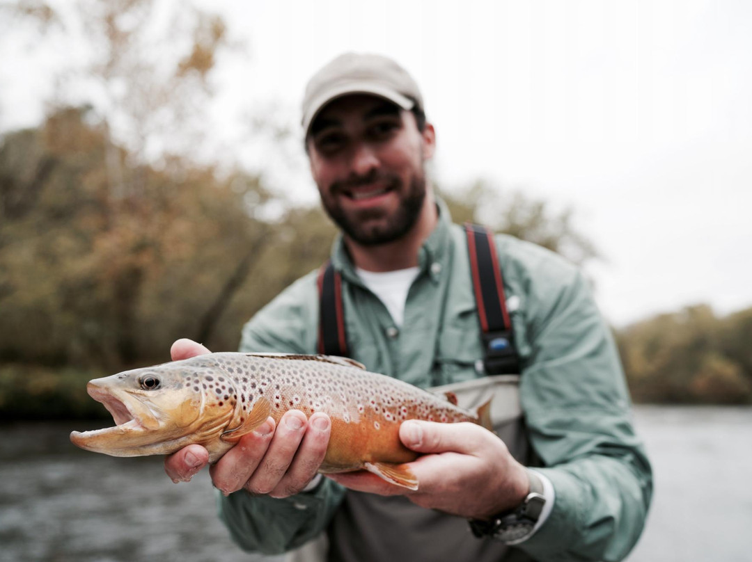Rouse Fly Fishing-Heber Springs必去景点
