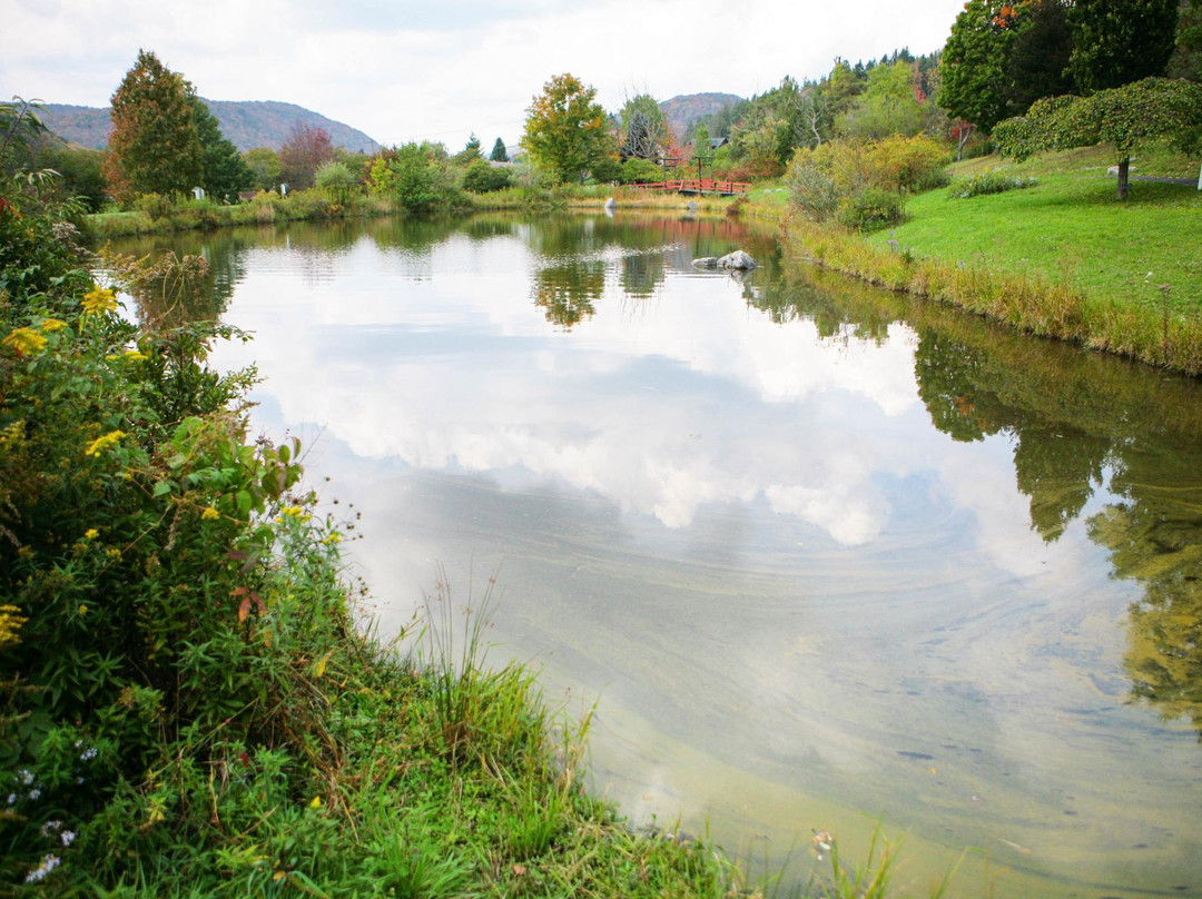 Nannen Arboreum-Ellicottville必去景点