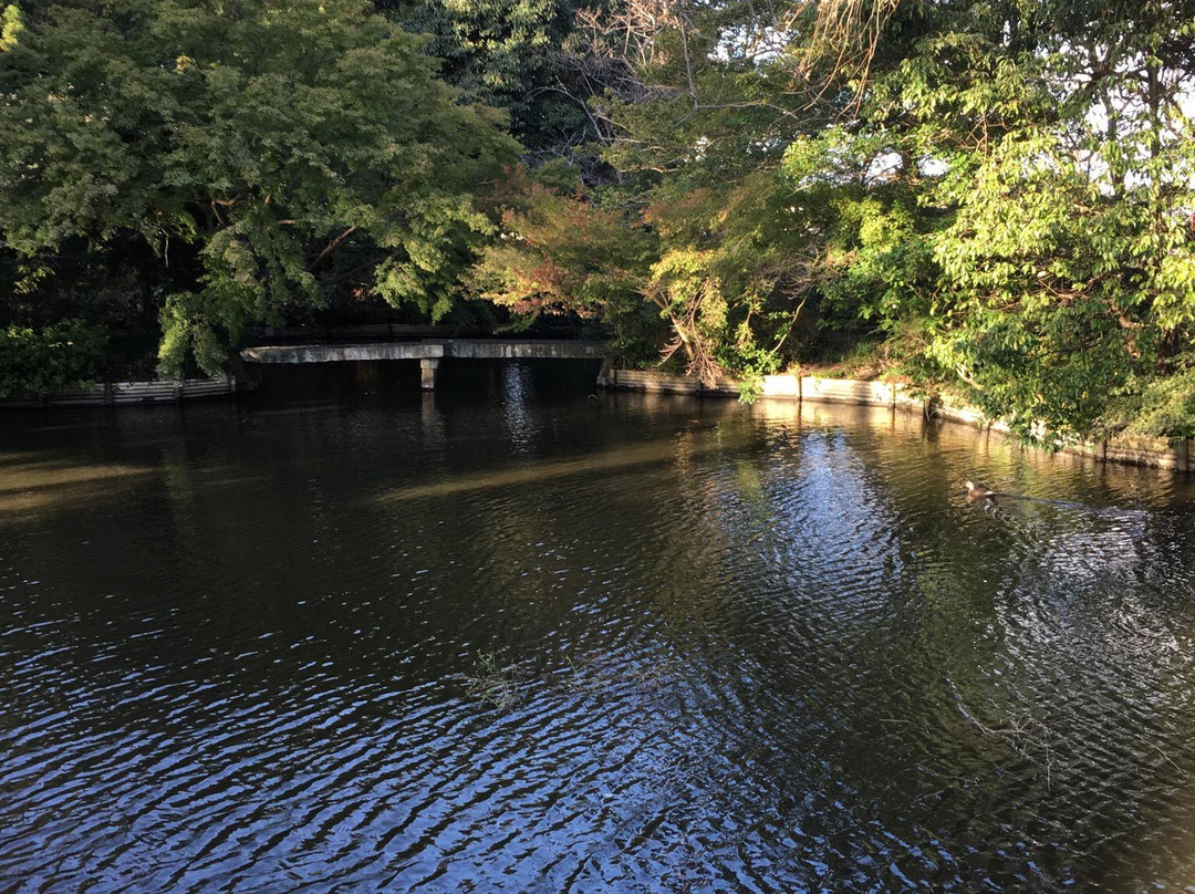Anjiki Shrine Garden-丰乡町必去景点