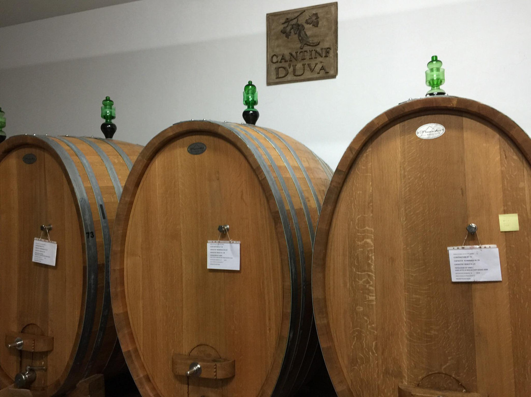 Cantine D'Uva-Larino必去景点