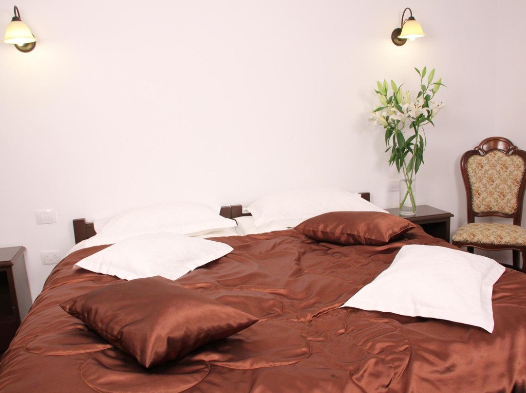 Hotel Bistrita主图