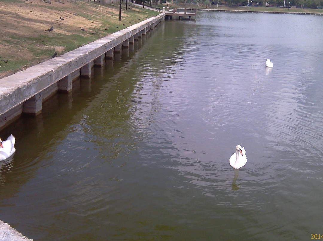 Swan Lake-阿斯特拉罕必去景点