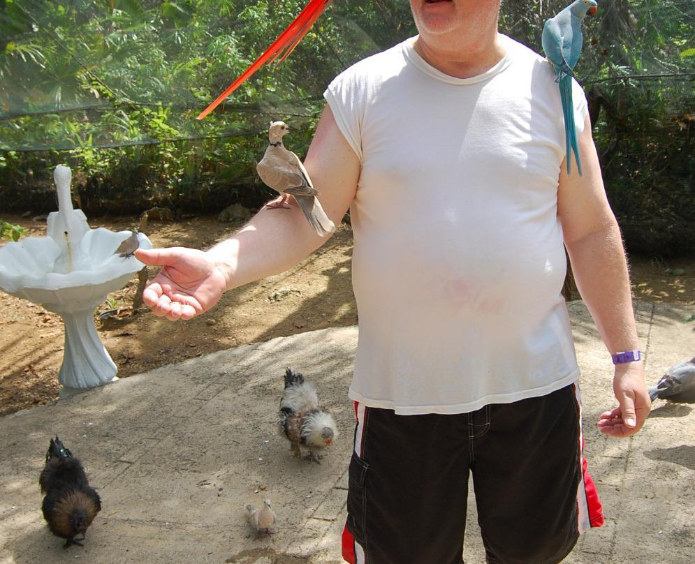 The Enchanted Gardens, Bird Aviary, and Waterfall-奥乔里奥斯必去景点