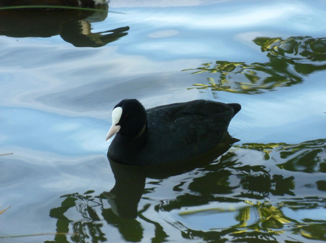Le Parc Naturel du Marais