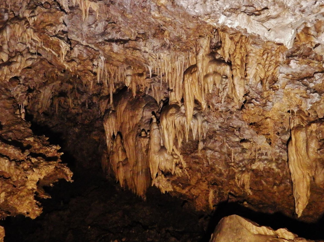 Grotte di CastelloTesino景点图片