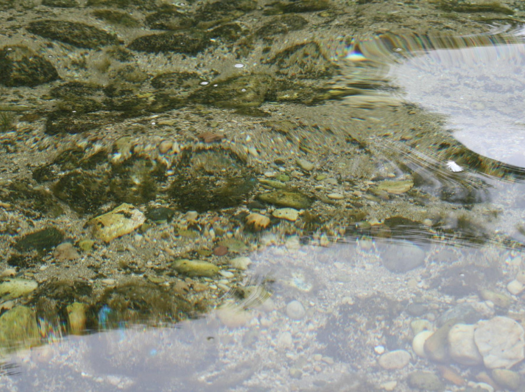 Fontana Paddle Company-Fontana必去景点