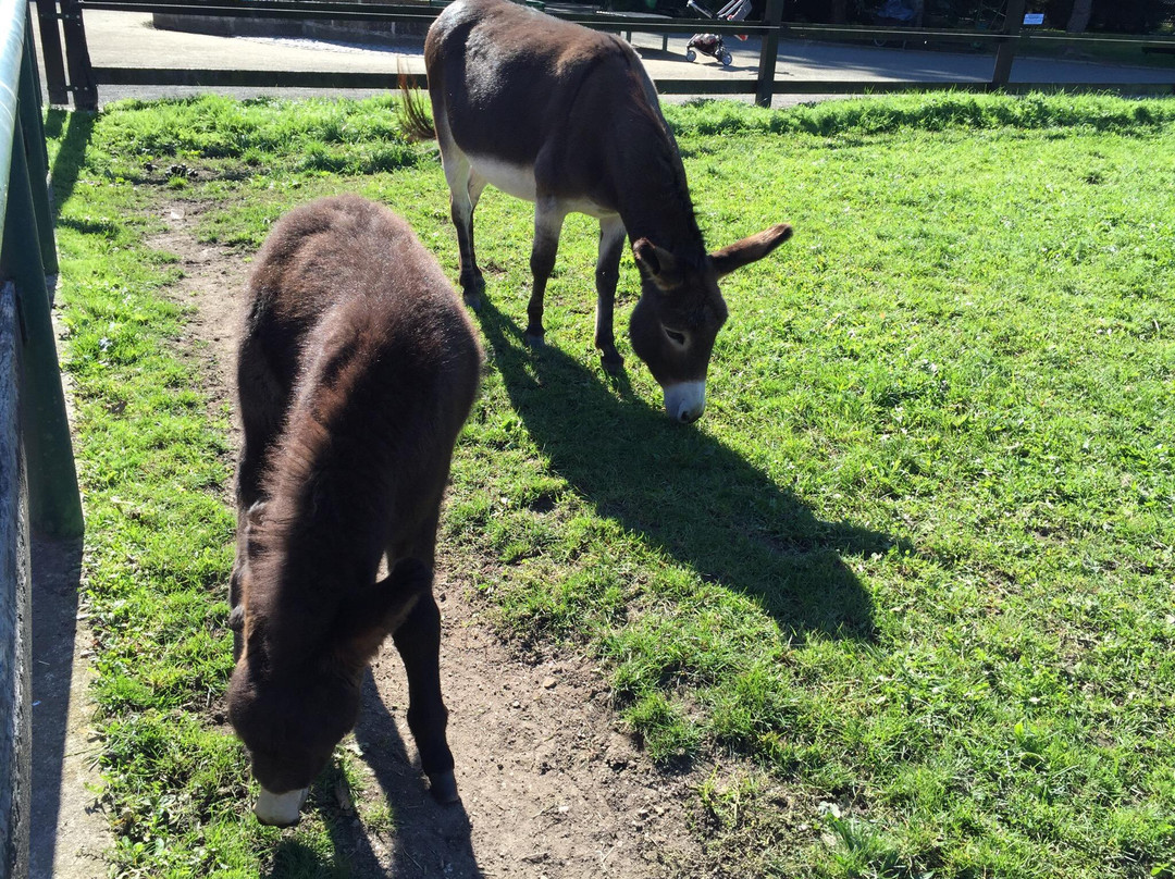 Wildpark Leipzig-莱比锡必去景点