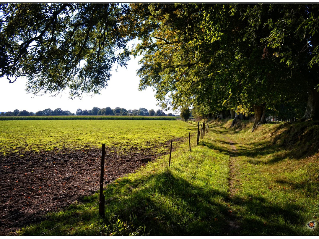 Auffay旅游攻略图片