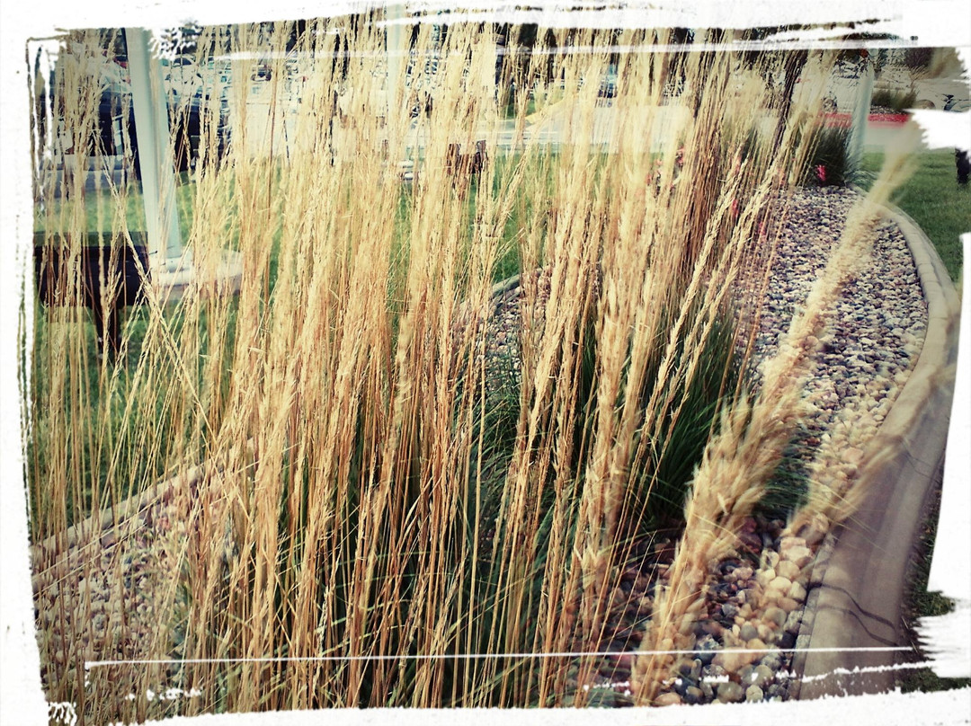 旧市场-奥马哈必去景点