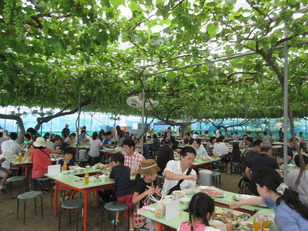 Misaka Farm Grape House-笛吹市必去景点