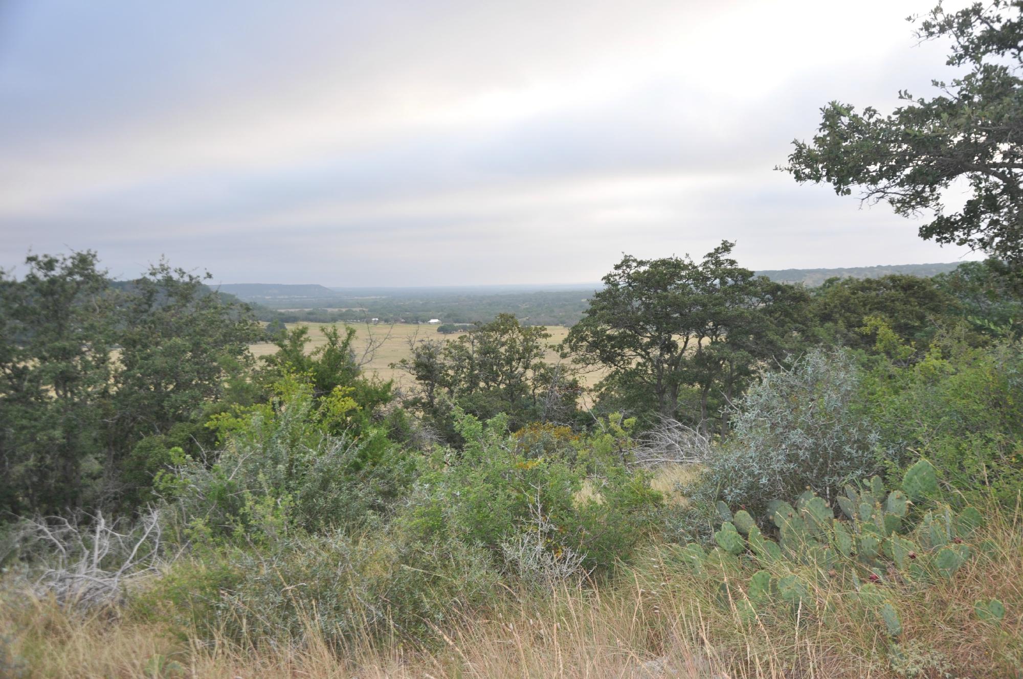 Quiet Hill Ranch - Fredericksburg-客卧