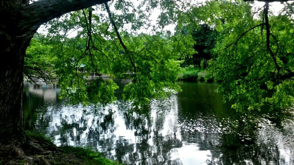 Crystal Lake Park - Lake House-厄巴纳必去景点