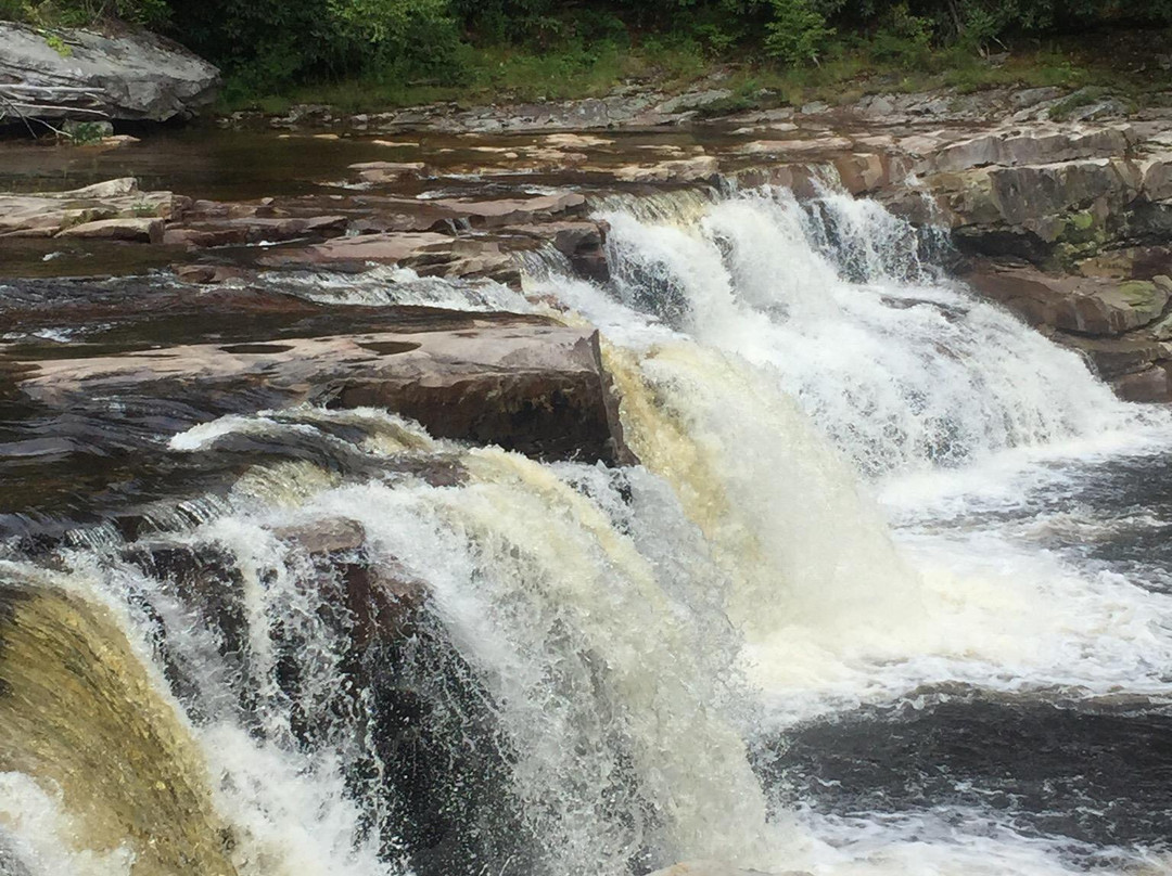 Durbin and Greenbrier Valley Railroad-Elkins必去景点