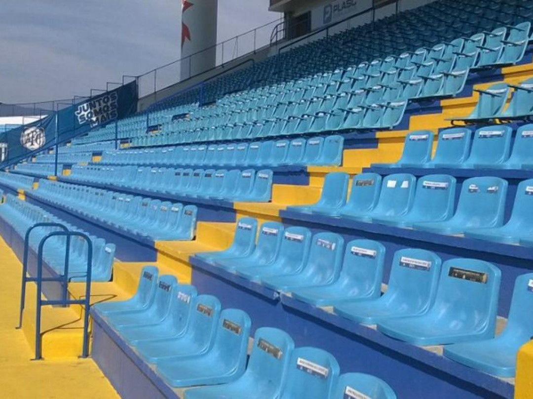 Estádio Aderbal Ramos da Silva - Ressacada景点图片
