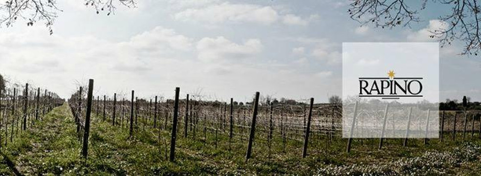 Cantina Rapino-Francavilla Al Mare必去景点