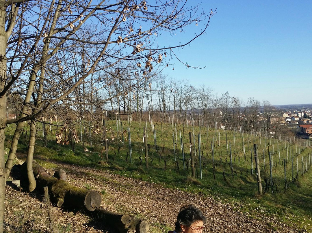 Castello di Montecavallo B&B主图