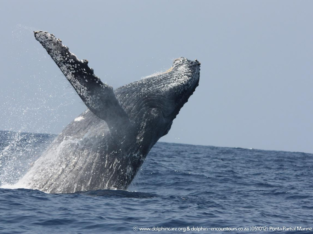 Gozo Azul Marine-Santa Maria必去景点