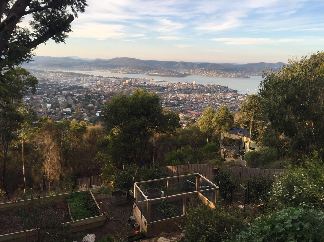 Mount Nelson Lookout-霍巴特必去景点