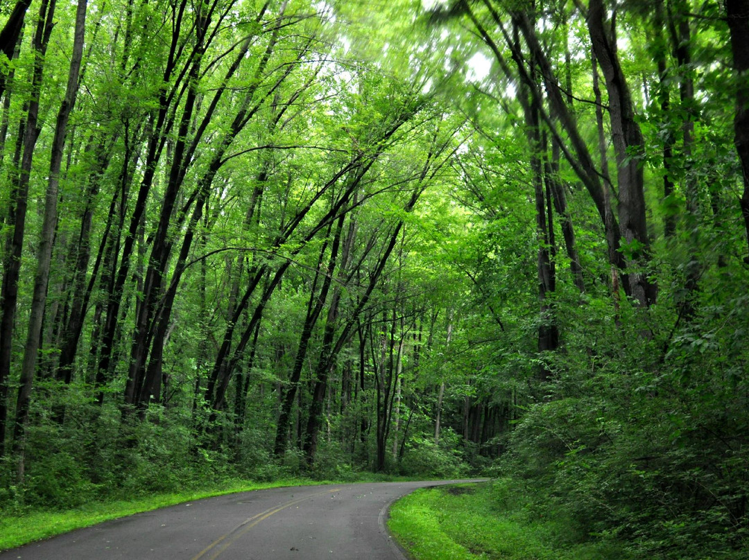 Wellington旅游攻略图片