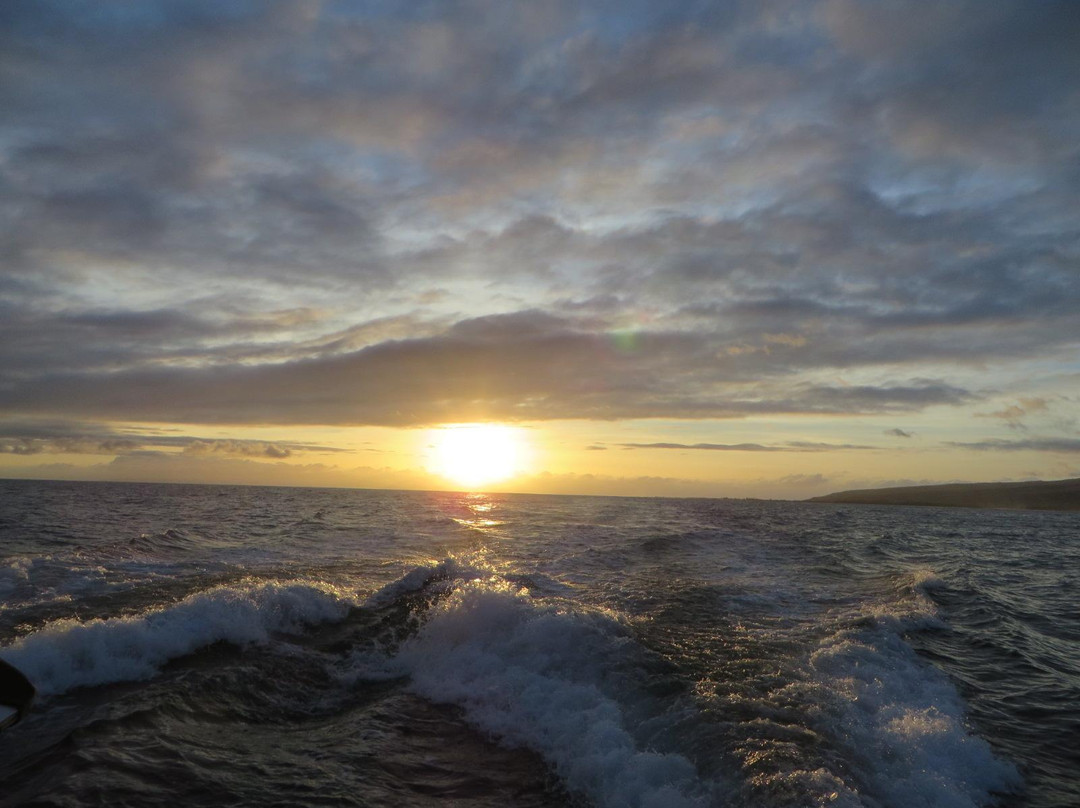 Capt Andy's-埃里埃利必去景点