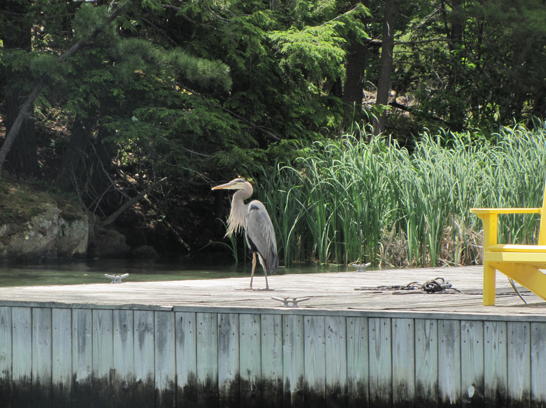 Kring Point State Park景点图片