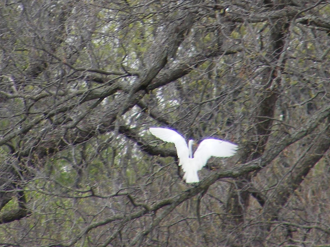 Connemara Conservancy-普莱诺必去景点