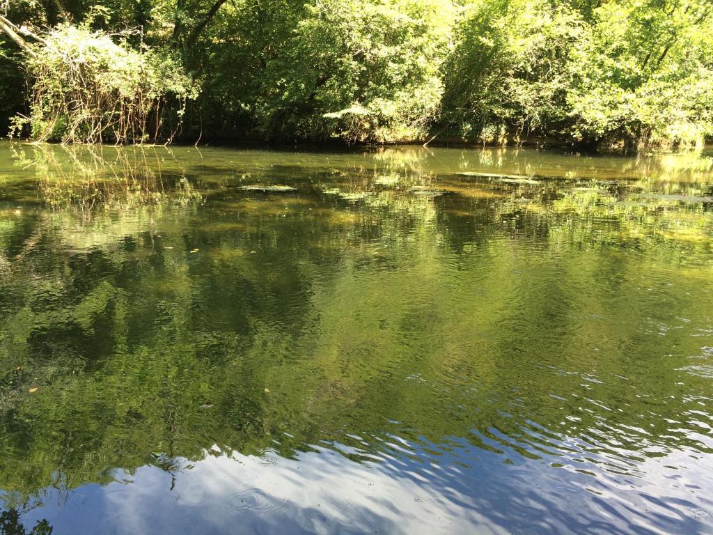 Moulin De Latreille-客卧