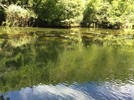 Pinsac酒店住宿-Moulin De Latreille