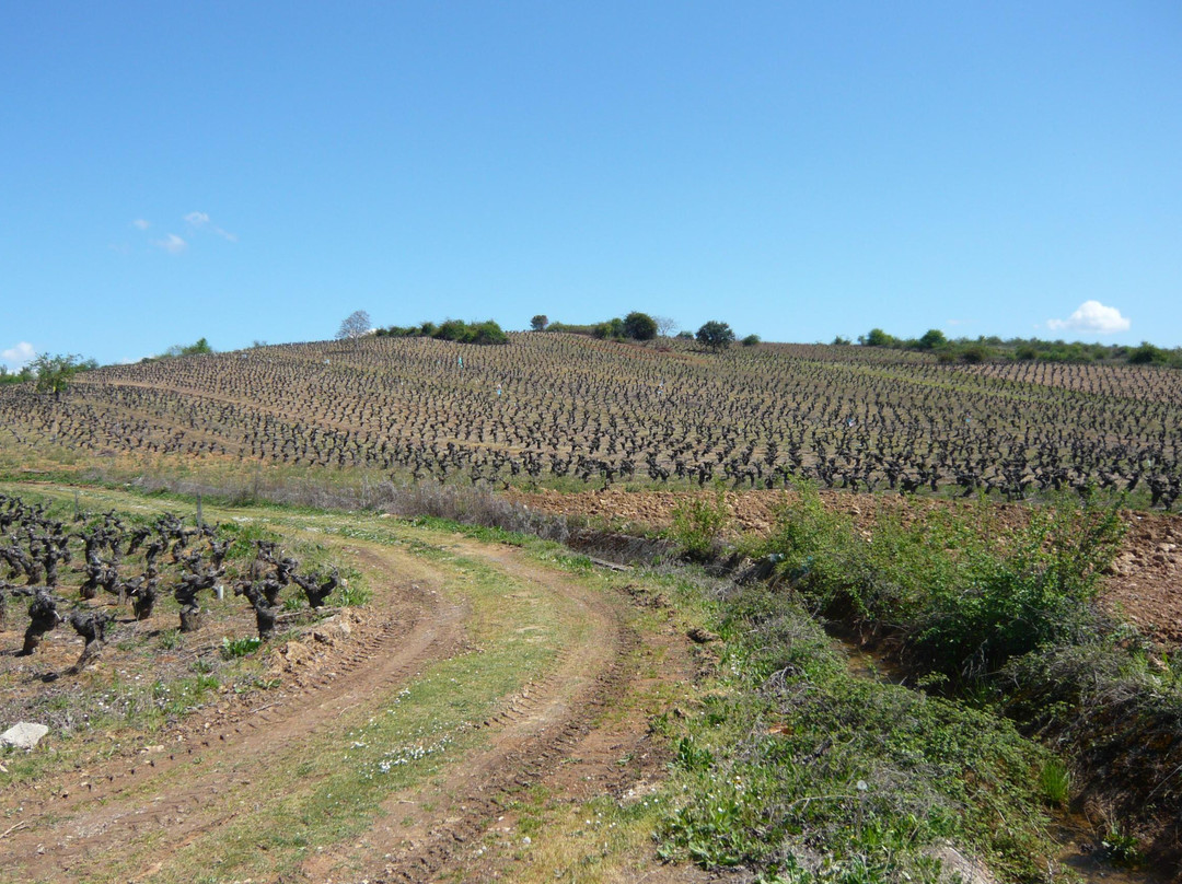 Vinas Del Bierzo景点图片