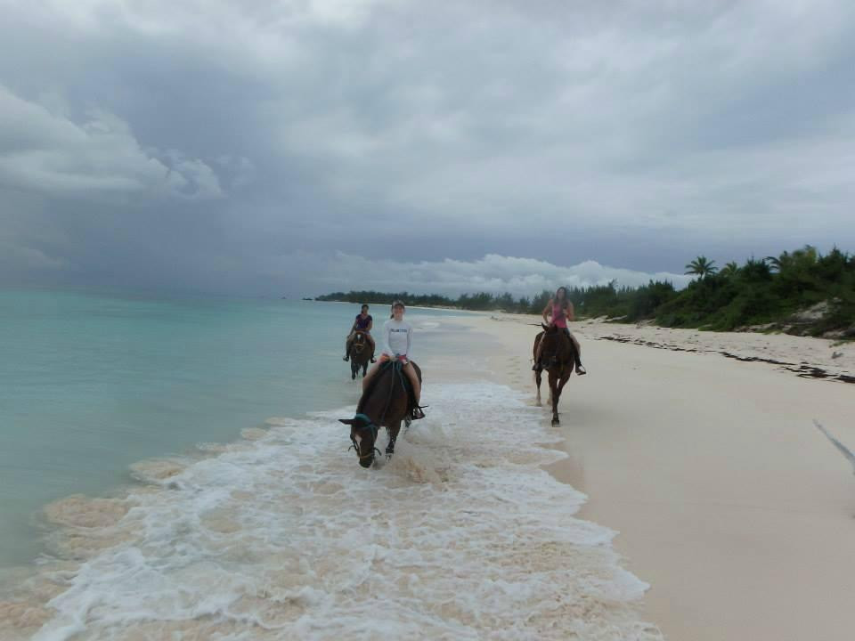 Oceanview Farm-Governor's Harbour必去景点