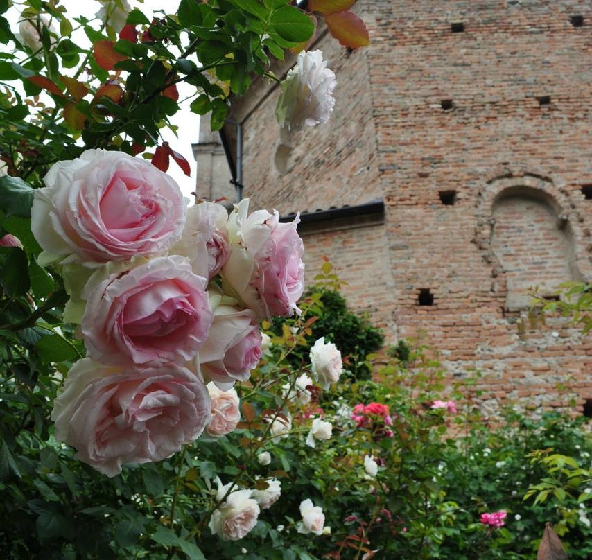 Il  Roseto景点图片