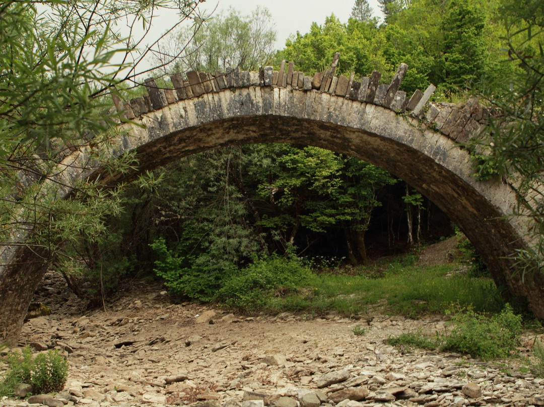 Bridge of Plakidas景点图片