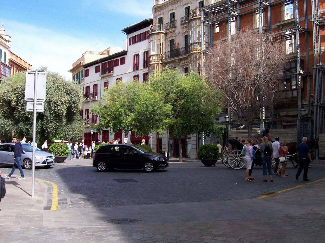 Plaça de Cort景点图片