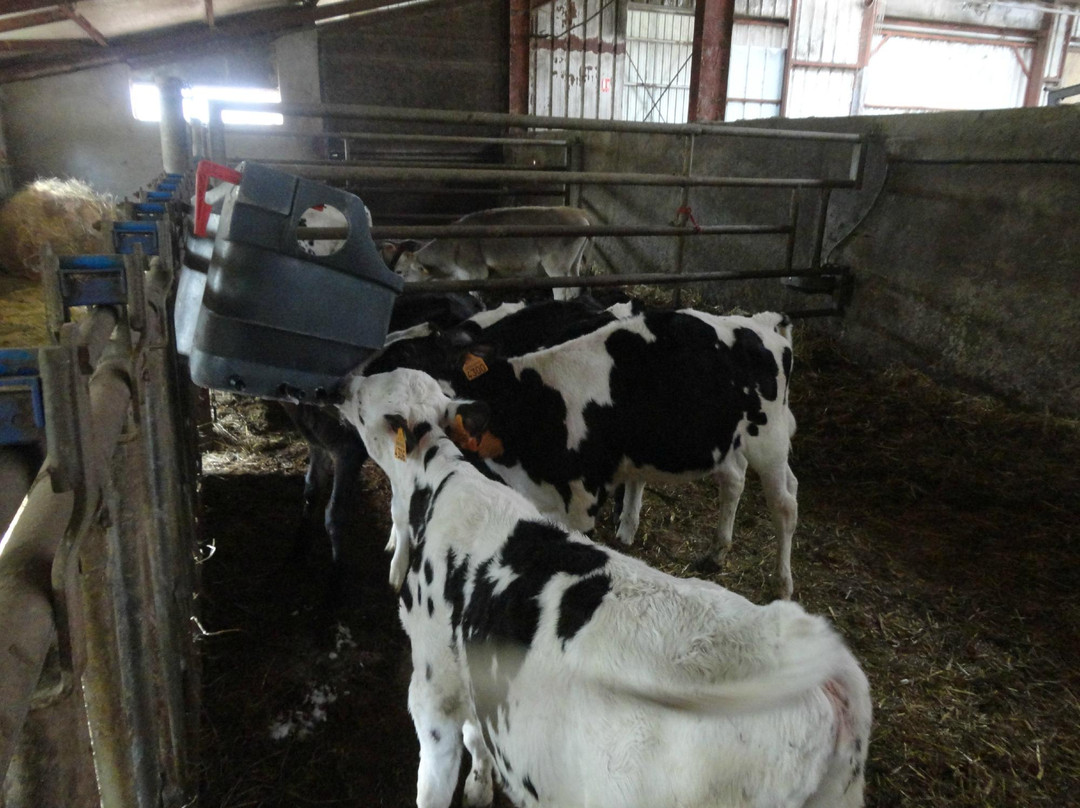 Ferme Gaec de l'Oiseau景点图片