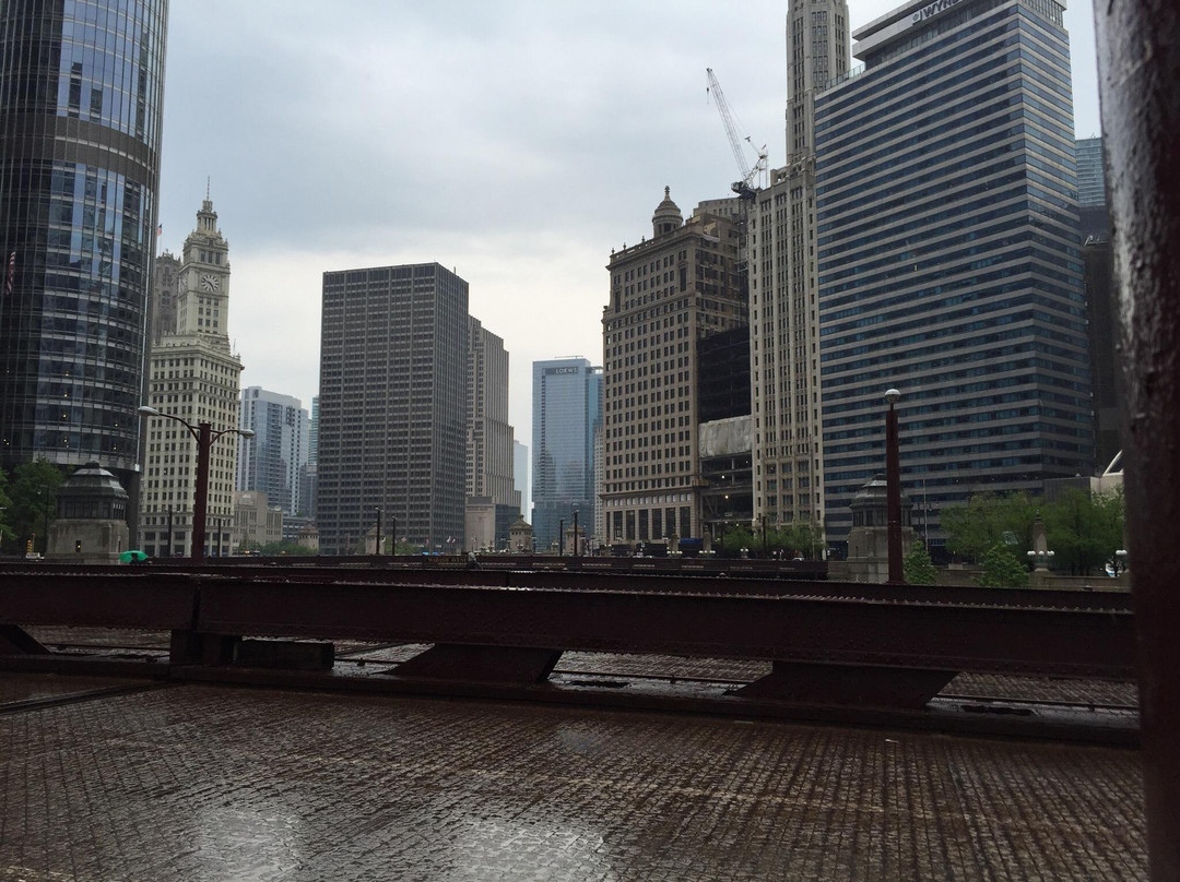 芝加哥河景点图片