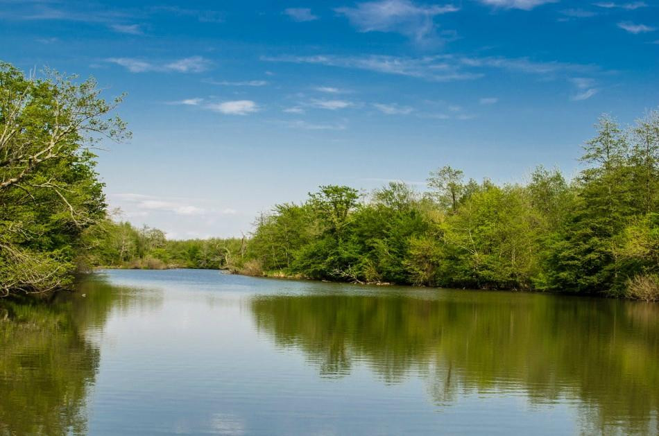 Poti旅游景点-Paliastomi Lake