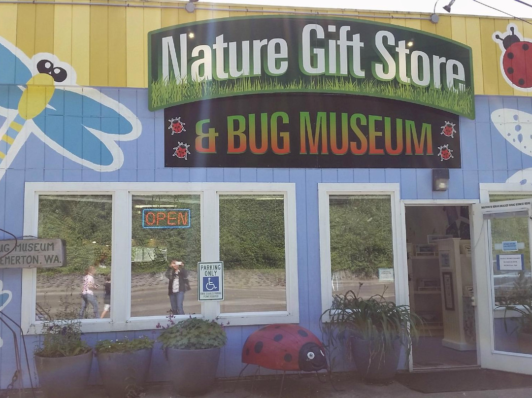 Bremerton Bug Museum景点图片