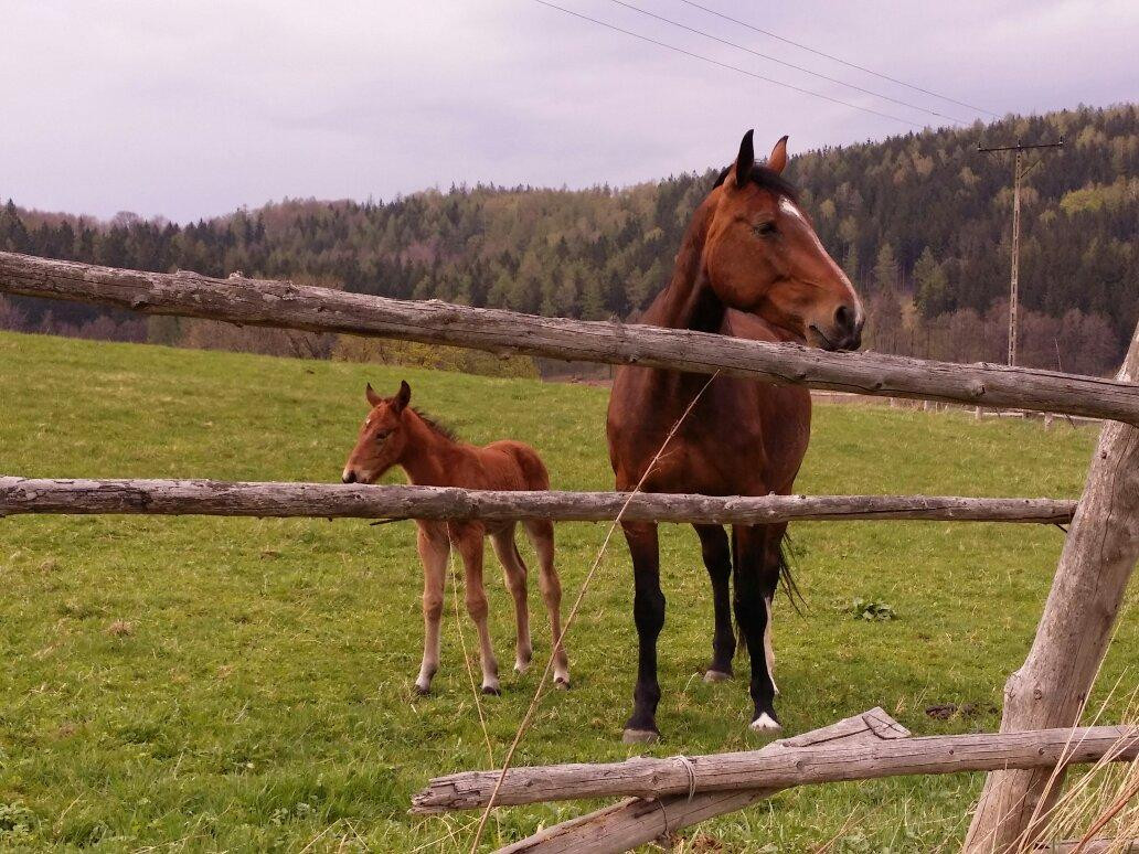 Biegun Guest House主图